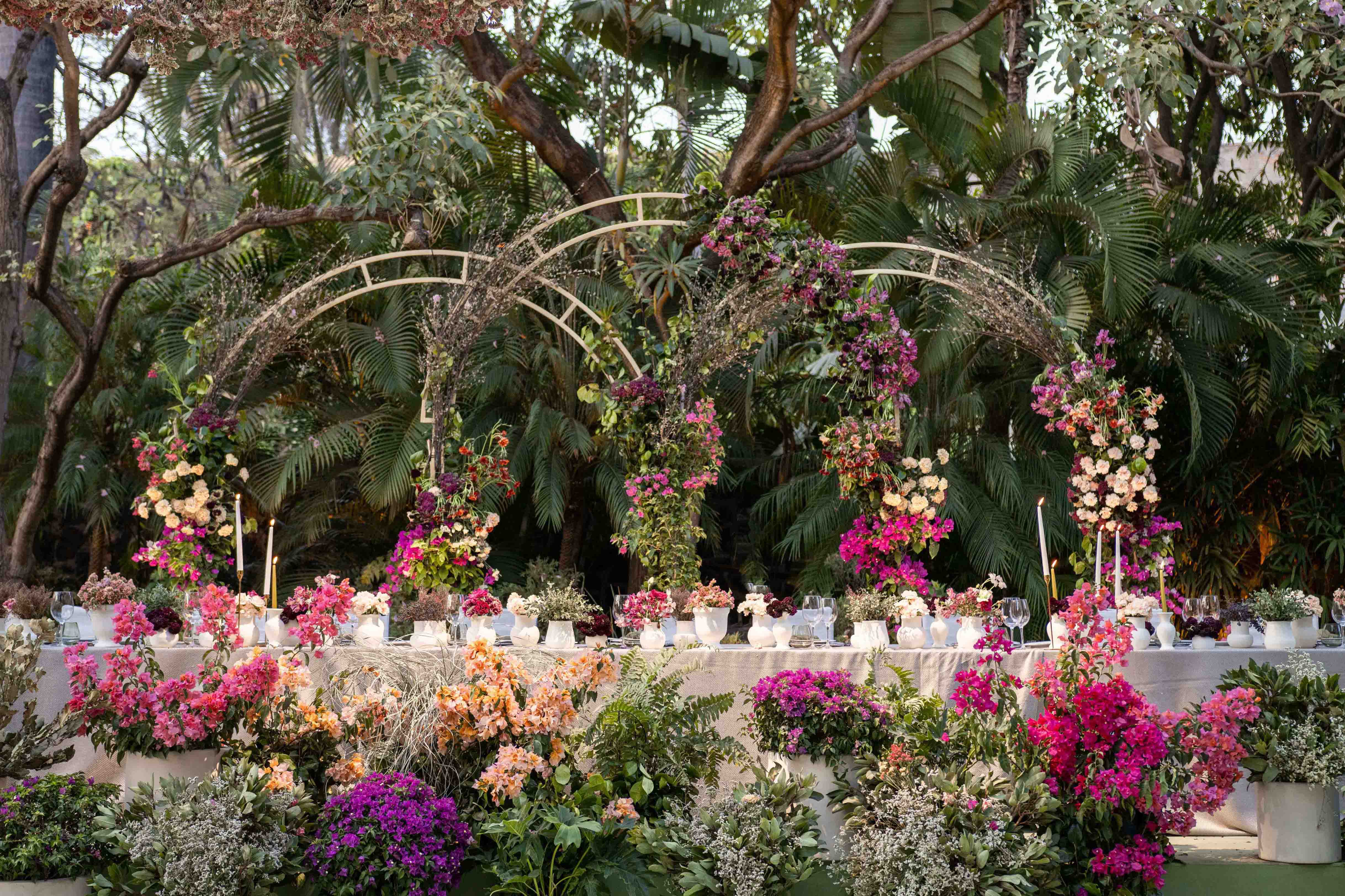 Rincones que respiran, luz que transforma.